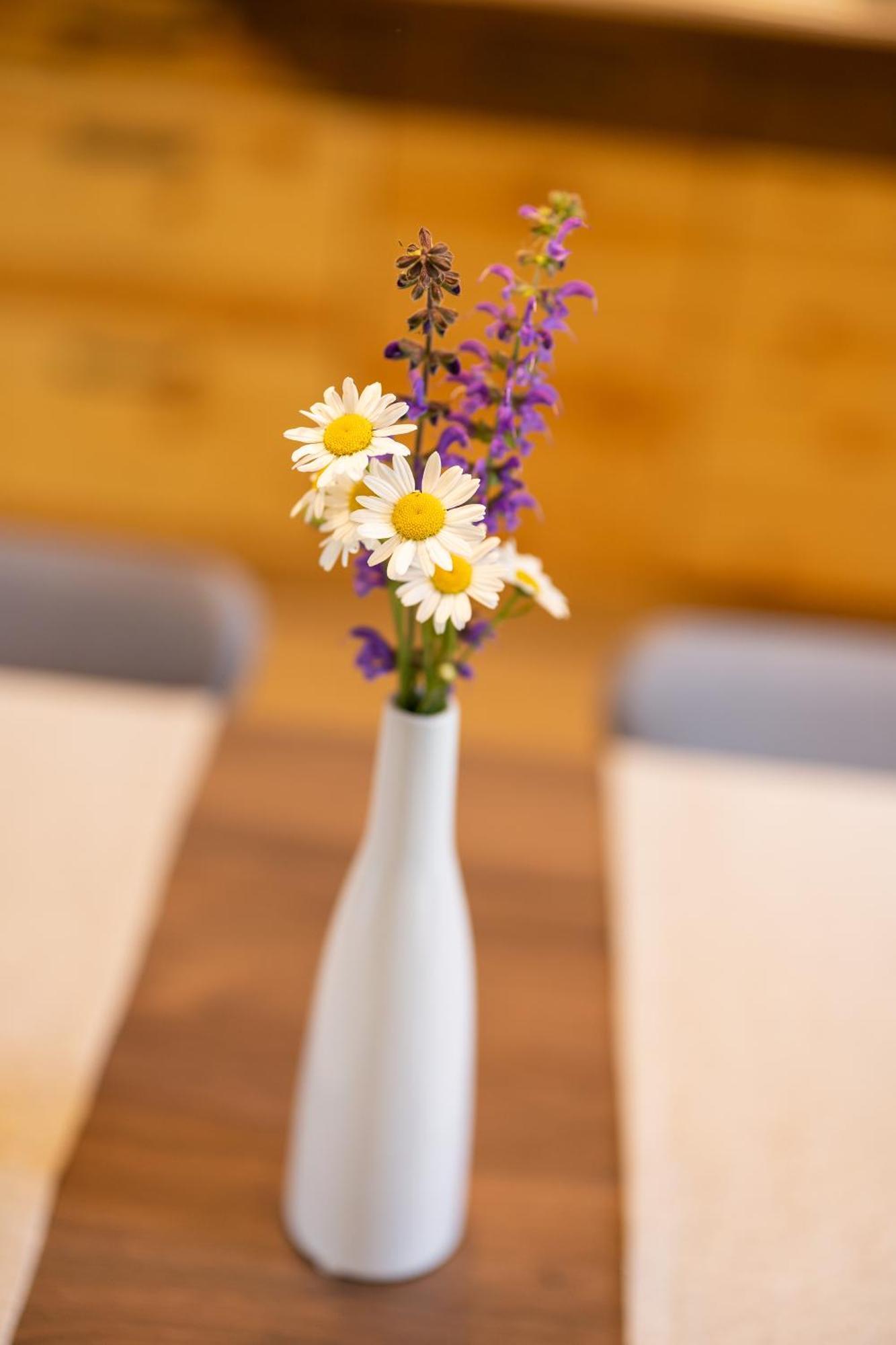 Privillage Stare - B&B Bohinj Dış mekan fotoğraf