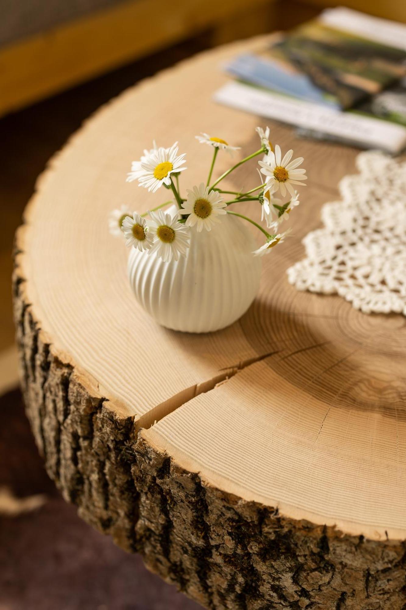 Privillage Stare - B&B Bohinj Dış mekan fotoğraf